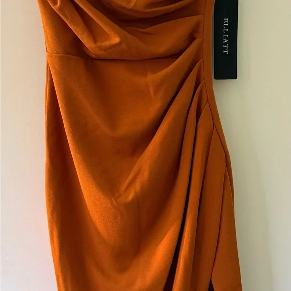 Elliatt Carissa Rust Dress - Picture 4 of 8